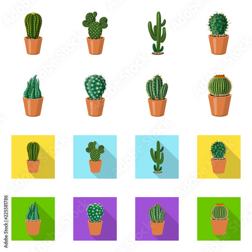 Isolated object of cactus and pot icon. Collection of cactus and cacti stock vector illustration.