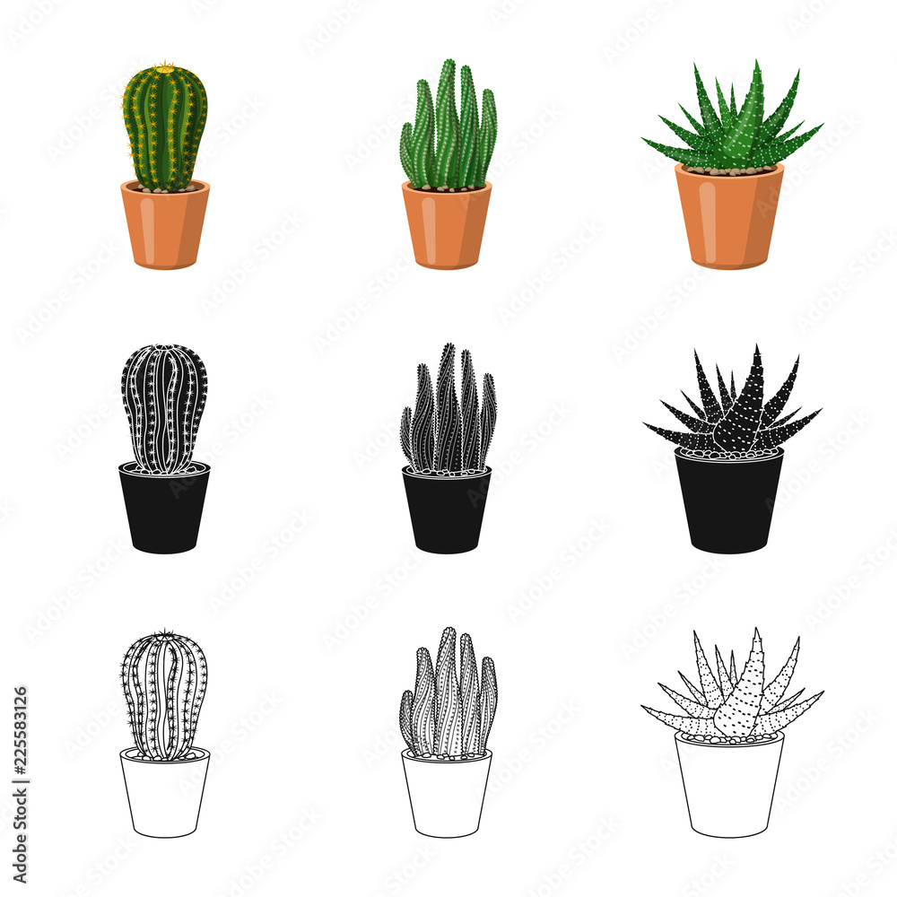 Vector design of cactus and pot logo. Collection of cactus and cacti stock vector illustration. Vector design of cactus and pot logo. Collection of cactus and cacti stock vector illustration.