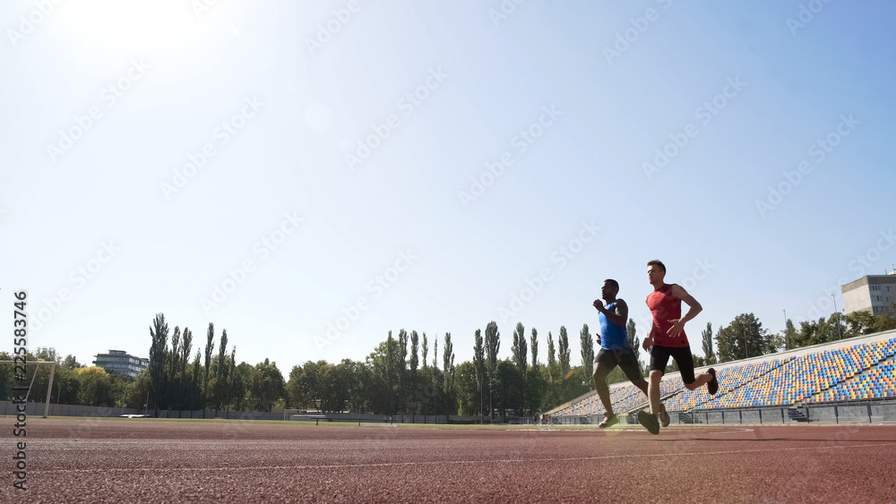 Obraz premium Two active runners competing at stadium, training hard to achieve sport success