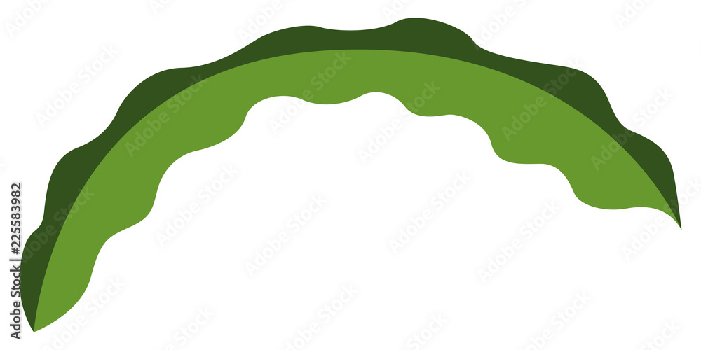 Fototapeta premium Colorful tropical leaf icon. Vector illustration design