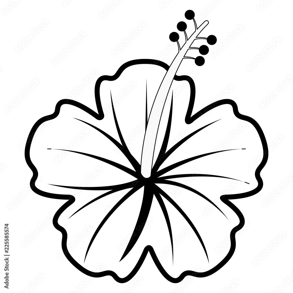 Fototapeta premium Colorful tropical flower icon. Vector illustration design