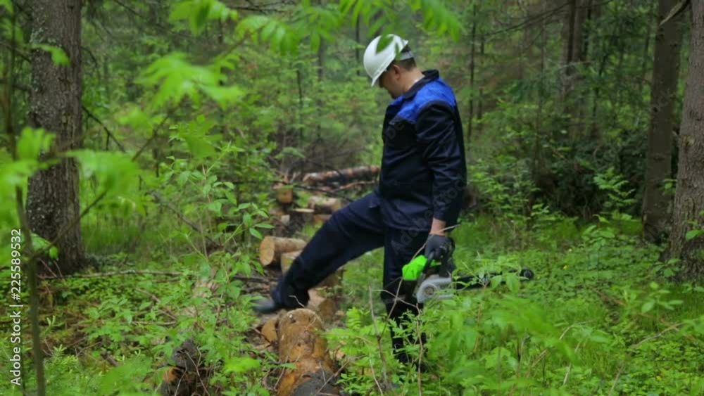 Man with chainsaw working in forest Man with chainsaw working in forest
