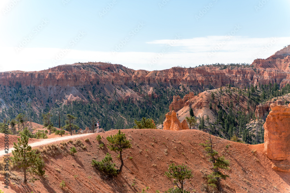 Fototapeta premium Hiker on Ridge in Bryce Canyon