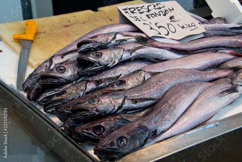 european hake (merliccius merluccius) on fishmonger's market stall in cadiz, andalusia, spain