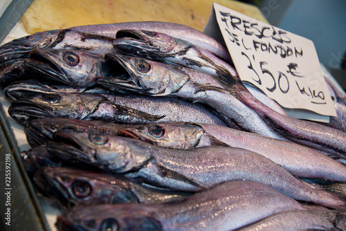 european hake (merliccius merluccius) on fishmonger's market stall in cadiz, andalusia, spain