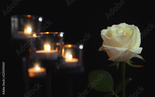 Burning candles and rose flower on dark background. Funeral symbol