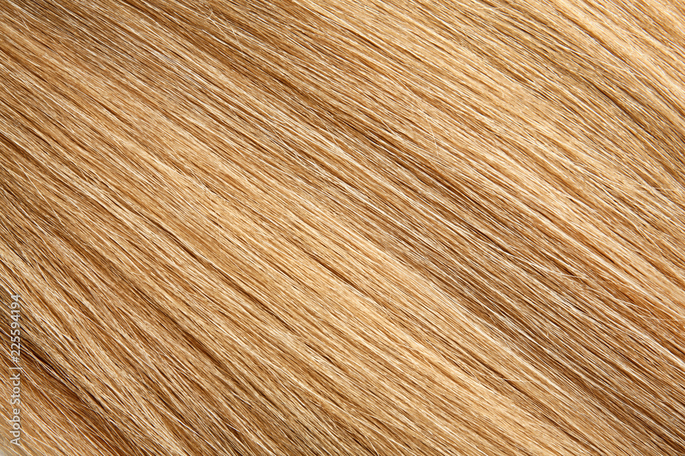 Texture of healthy blond hair as background, closeup Texture of healthy blond hair as background, closeup