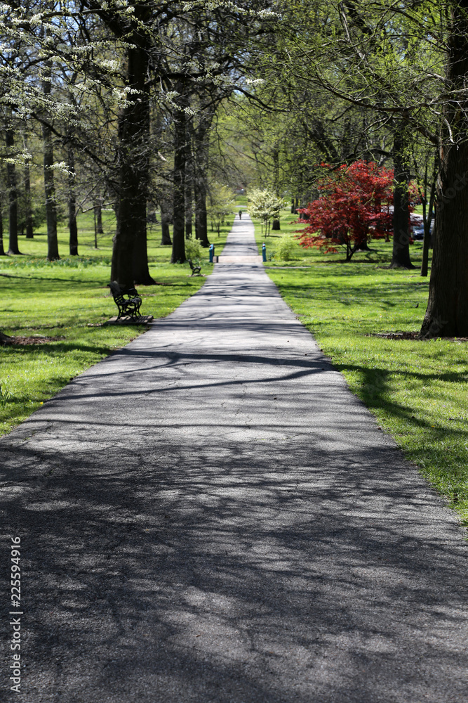 Path in park with grass