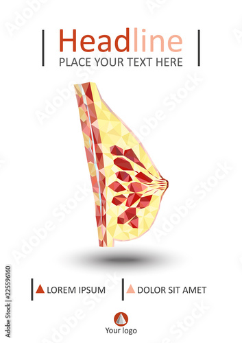 Women breast cross section in low poly. Realistic 3d medical human organ cancer. For medical education, for Clinics, Universities, Schools. Medical book, journal, research. Vector