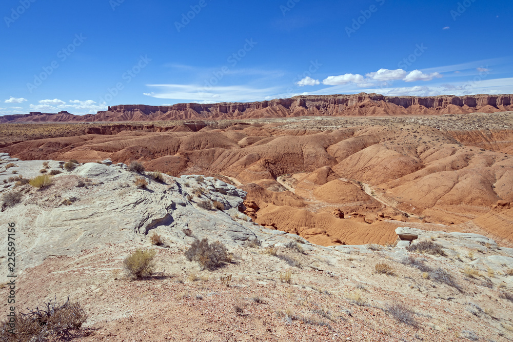 High Desert Panorama in the Spring