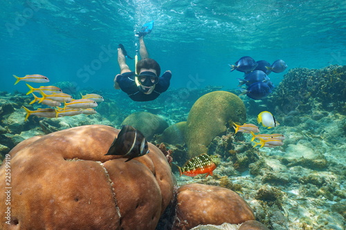 Man snorkeling underwater in a coral reef with colorful tropical fishes, Caribbean sea