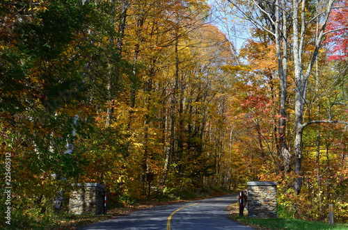 Fall Road in New ENgland