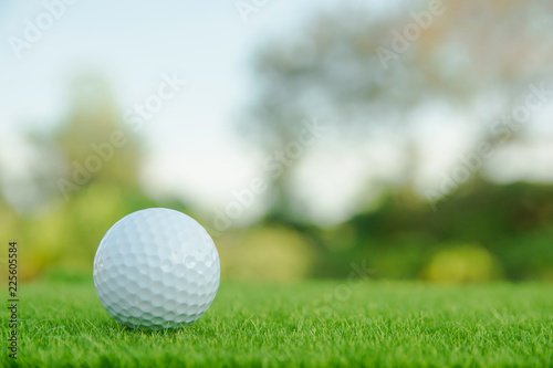 Golf ball on green grass ready to play at golf course. with copy space