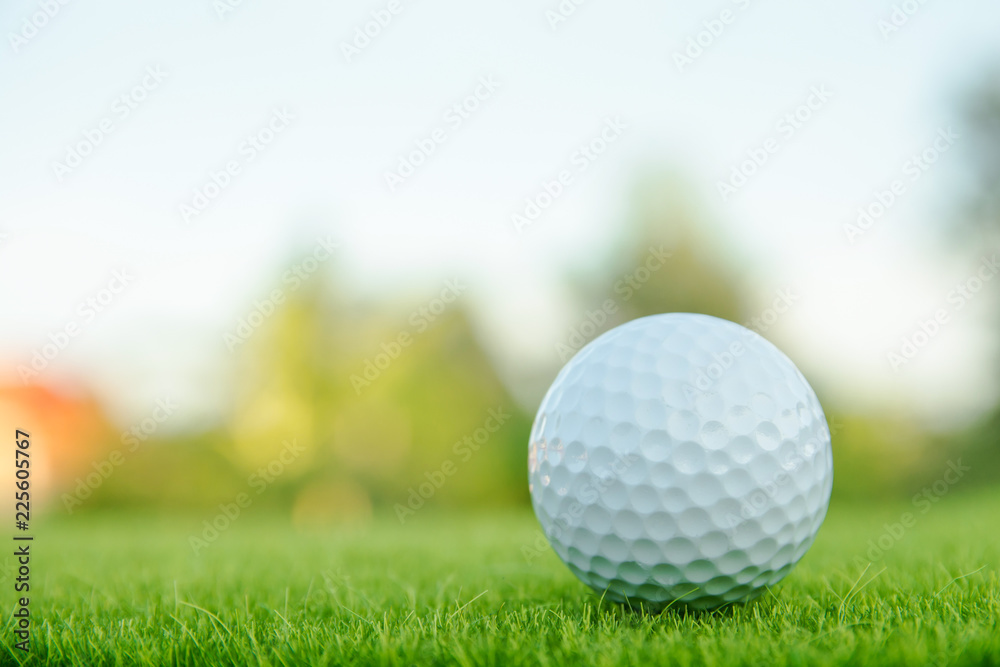 Naklejka premium Golf ball on green grass ready to play at golf course. with copy space