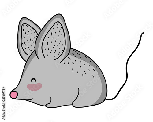 Mouse wild animal cartoon
