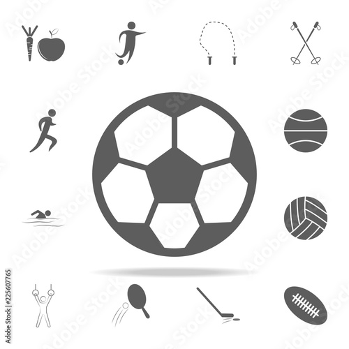 soccer ball icon. Sport icons universal set for web and mobile