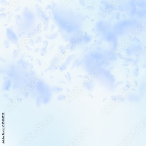 Light blue flower petals falling down. Fancy romantic flowers gradient. Flying petal on blue sky squ