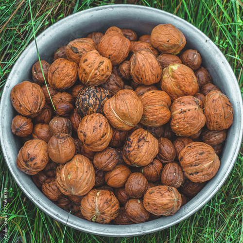Walnuts kernels on green grass with natural background, Whole walnut in a metal plate. Walnuts. Walnuts an market. Healthy