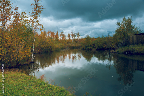 Autumn landscape near the forest lake on a cloudy day