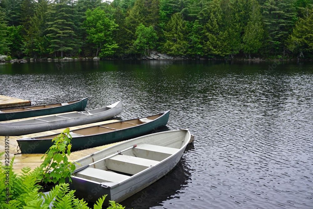 Sagamore Lake, Adirondack Park, New York, USA: Canoes and rowboats tied to a wooden dock on a lake surrounded by evergreen trees.