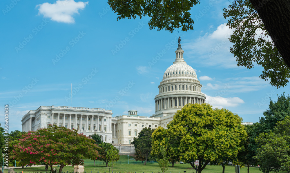Naklejka premium United States Capitol