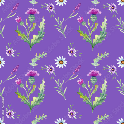 Wild flowers background