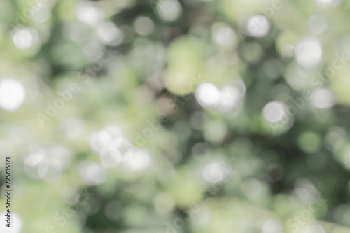 Bokeh color on green floor with white 