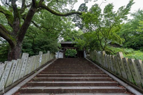 Shinonome Shrine. in Matsuyama Castle © Prism6 Production