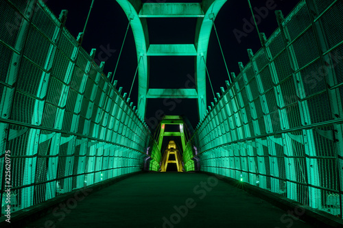 Tynehead bridge at night in Surrey, British Columbia.