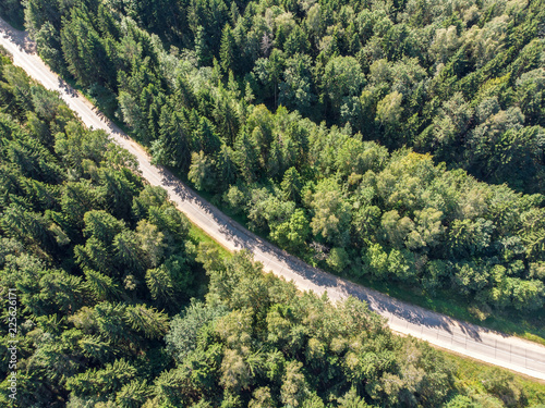 aerial view of countryside road asphalt among high forest green fir trees