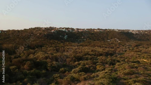 Aerial shot above golden trees at the central coast, Australia. photo