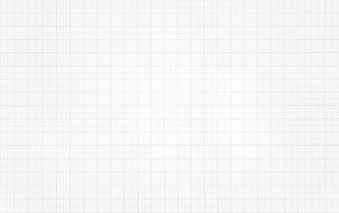 White paper with grid line pattern background.