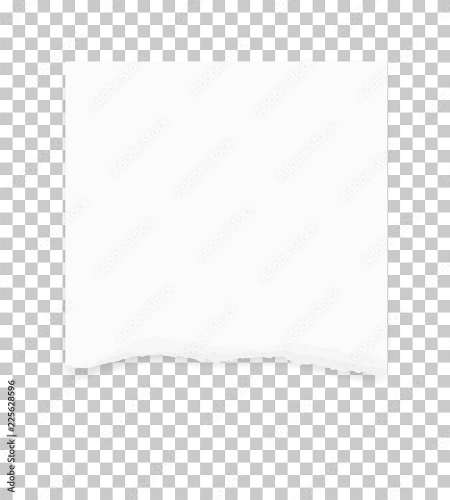 Torn paper edges for background. Ripped paper texture on transparent background. Vector. Torn paper edges for background. Ripped paper texture on transparent background. Vector.