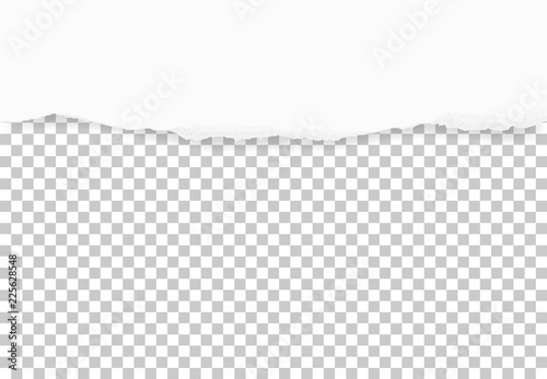 Torn Paper Edges For Background Ripped Paper Texture On Transparent Background Vector Stock Vector Adobe Stock Torn Paper Edges For Background Ripped Paper Texture On Transparent Background Vector Stock Vector Adobe Stock