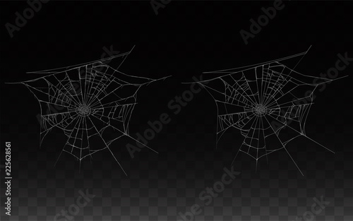 Vector collection of realistic cobweb, spider web isolated on dark background. White sticky, scary element for Halloween, horror decoration. Natural arachnid net, spooky hanging trap for insects.