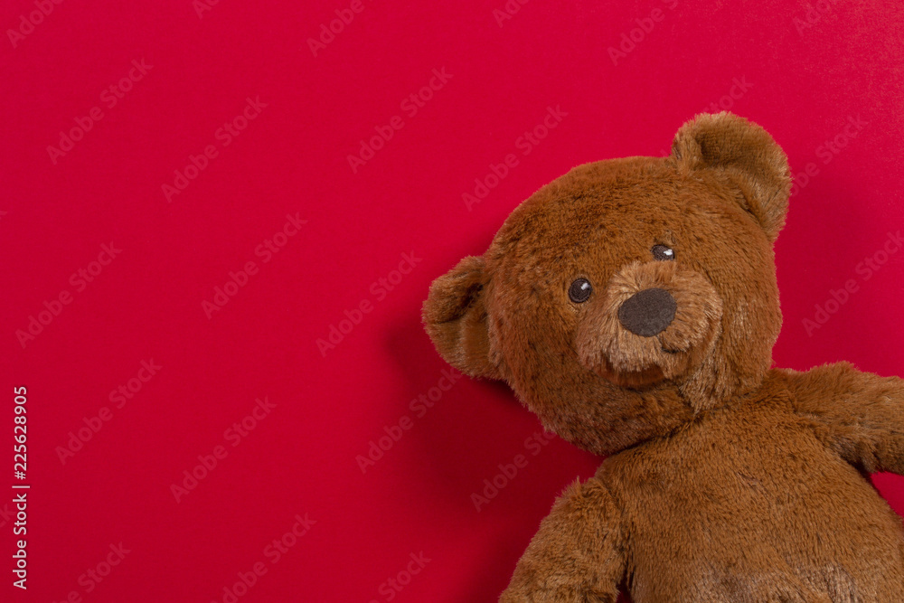 Teddy bear toy on red background Teddy bear toy on red background