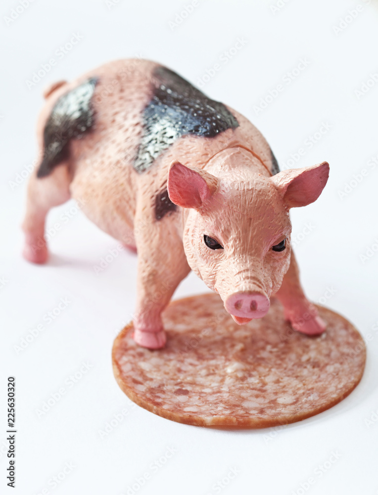 Obraz Miniature Pig with a slice of saussage