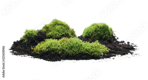 Green moss on soil, dirt pile, isolated on white background