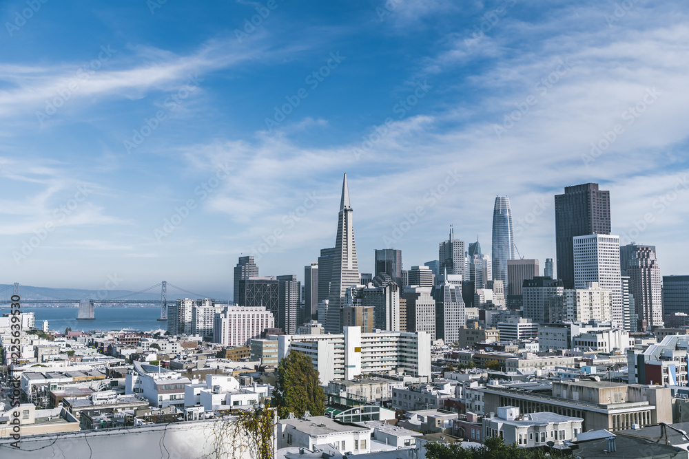 Fototapeta premium San Francisco Downtown