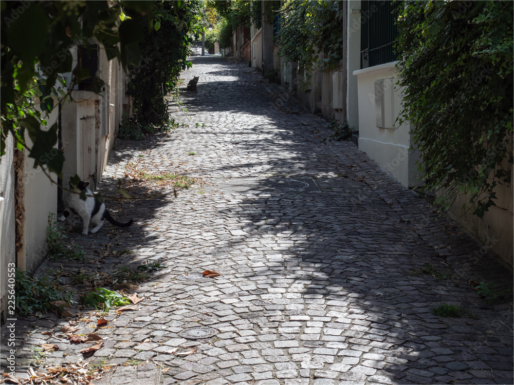 La Mouzaïa, quartier insolite et pittoresque de Paris Stock Photo