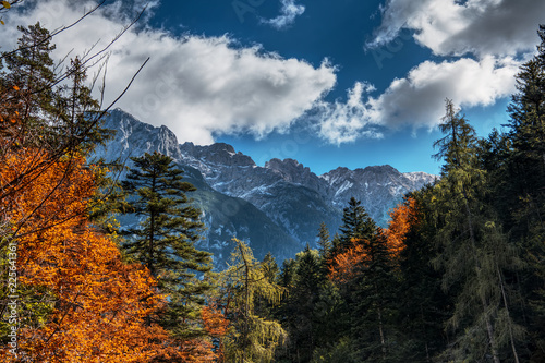 Bergwelt