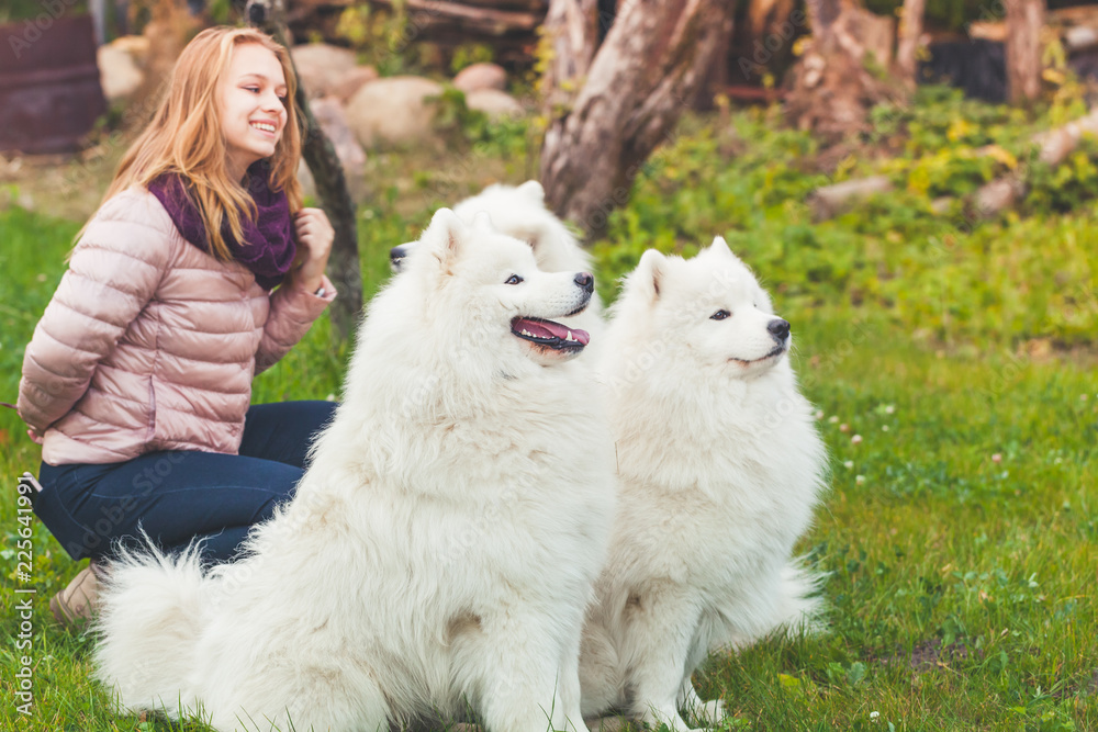 Caucasian girl with white Samoyed dogs