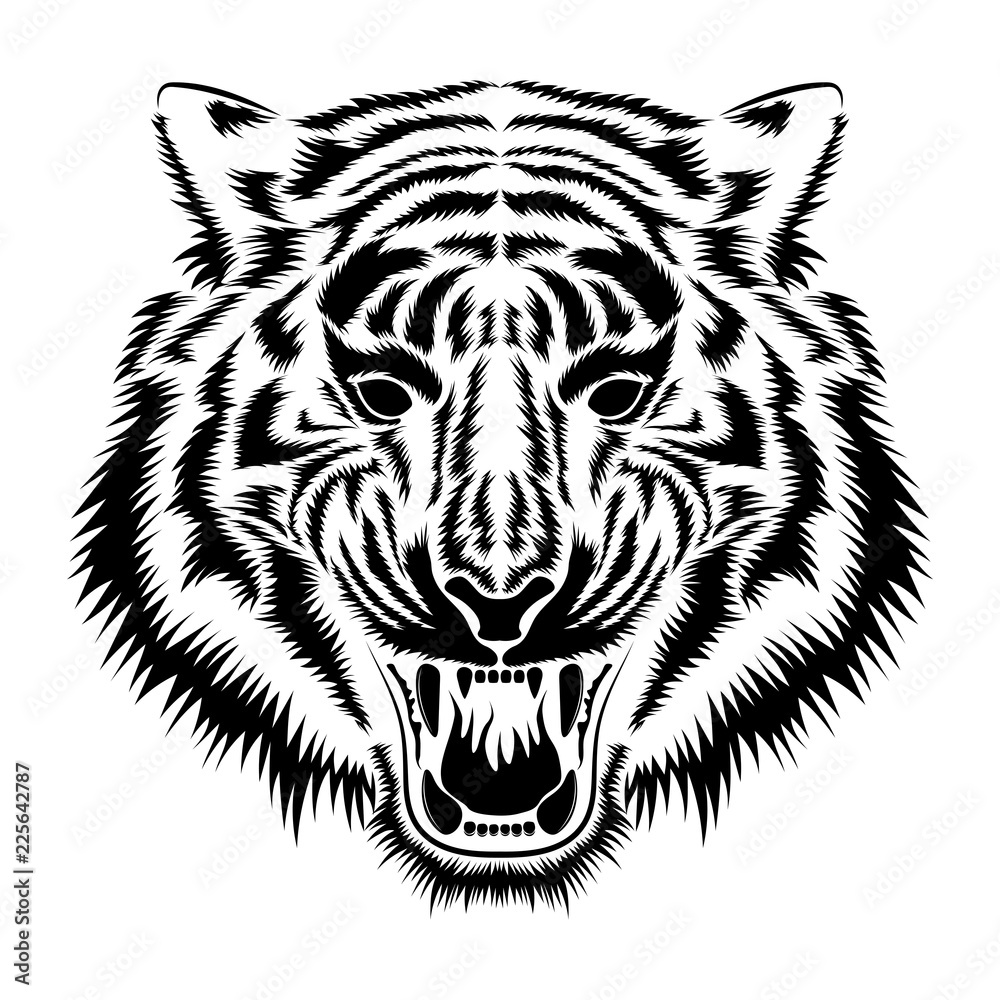 Vector image of a muzzle of a tiger. Vector image of a muzzle of a tiger.