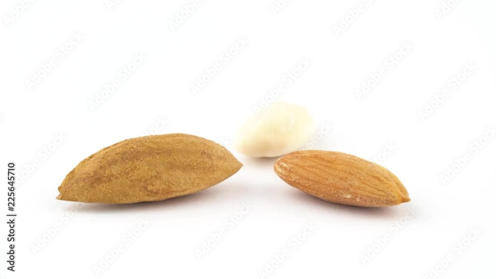 Shelled, blanched and completely blanched almond. Rotating on the turntable isolated on the white background. Close up. Macro. Shelled, blanched and completely blanched almond. Rotating on the turntable isolated on the white background. Close up. Macro.