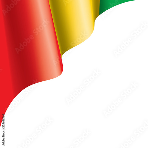 guinea flag, vector illustration on a white background