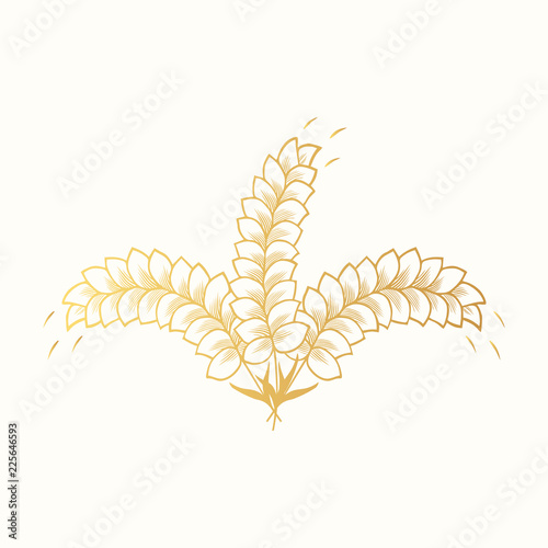 Golden malt, rye, barley, wheat ears icon. Grain cereal for beer bottle label. Vector isolated illustration.