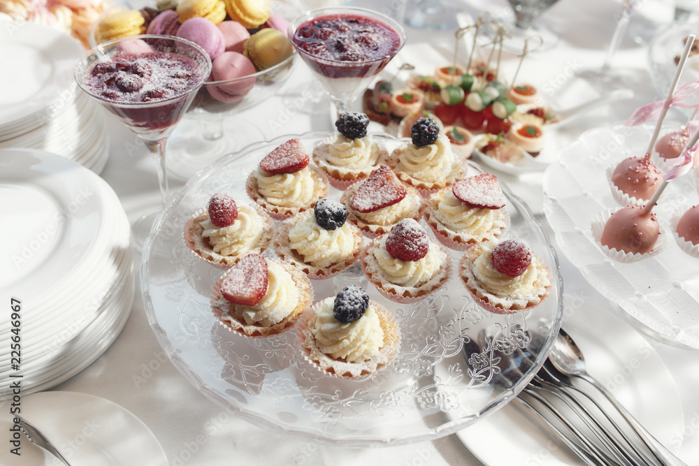 Sweet mini cakes with cream custard and berries under powdered sugar on the festive table of candy bar and fresh berries. Sweets on a buffet table. puddings, and cream souffle. Sweet mini cakes with cream custard and berries under powdered sugar on the festive table of candy bar and fresh berries. Sweets on a buffet table. puddings, and cream souffle.