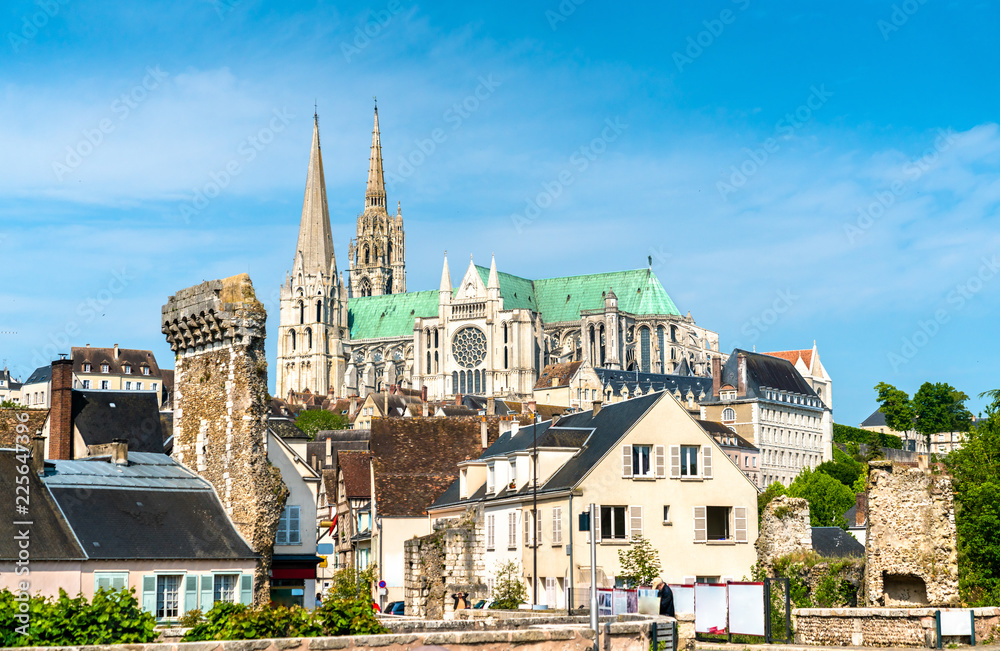 View of Chartres Cathedral above the town. France