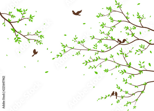 beautiful tree branch with birds silhouette background for wallpaper sticker
