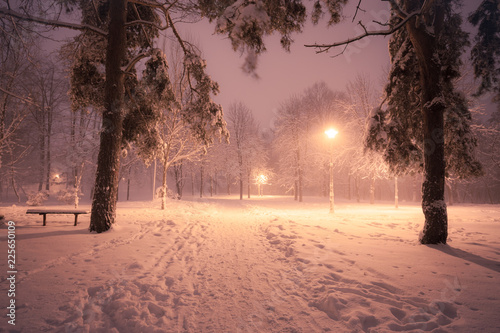 Night winter snowfall landscape. Snowy alley of city illuminated park